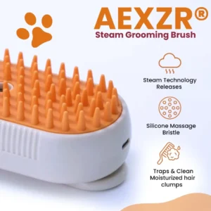 AEXZR® Steam Grooming Brush