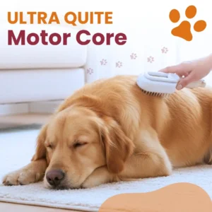 AEXZR® Steam Grooming Brush