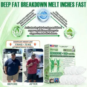 🇺🇸 𝐎𝐟𝐟𝐢𝐜𝐢𝐚𝐥 𝐔𝐒 𝐒𝐭𝐨𝐫𝐞 | 🧑‍⚕️🩺 LOVILDS™ Moringa · Berberine × NAD+ 𝟏𝟎-𝐢𝐧-𝟏 𝐀𝐝𝐯𝐚𝐧𝐜𝐞𝐝 𝐍𝐚𝐧𝐨 𝐌𝐢𝐜𝐫𝐨𝐧𝐞𝐞𝐝𝐥𝐞 𝐏𝐚𝐭𝐜𝐡 — 𝐎𝐧𝐜𝐞 𝐃𝐚𝐢𝐥𝐲, 𝐕𝐢𝐬𝐢𝐛𝐥𝐞 𝐑𝐞𝐬𝐮𝐥𝐭𝐬 𝐢𝐧 𝟕 𝐃𝐚𝐲𝐬