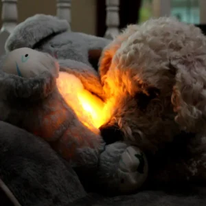 Clinclii™ - Breathing Koala Plush