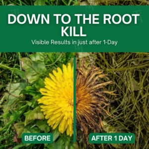 AEXZR® 3 in 1 Max Power Herbicide