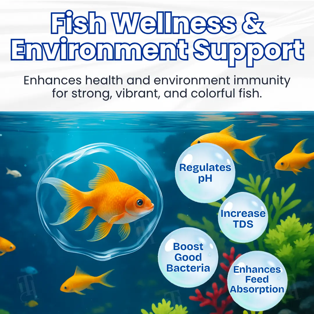 ⚡Official Store | AEXZR® Aqua-Guardian Pro Formula | EXCLUSIVE DEAL! 50% OFF🏷️